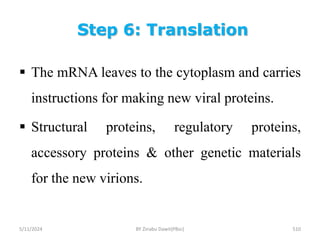 Step 6: Translation
5/11/2024 510
 The mRNA leaves to the cytoplasm and carries
instructions for making new viral proteins.
 Structural proteins, regulatory proteins,
accessory proteins & other genetic materials
for the new virions.
BY Zinabu Dawit(PBsc)
 
