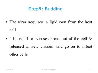 Step8: Budding
5/11/2024 512
• The virus acquires a lipid coat from the host
cell
• Thousands of viruses break out of the cell &
released as new viruses and go on to infect
other cells.
BY Zinabu Dawit(PBsc)
 