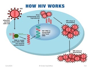 5/11/2024 513
BY Zinabu Dawit(PBsc)
 