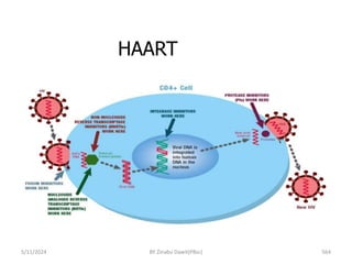 HAART
5/11/2024 564
BY Zinabu Dawit(PBsc)
 