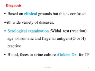Diagnosis
 Based on clinical grounds but this is confused
with wide variety of diseases.
 Serological examination :Widal test (reaction)
against somatic and flagellar antigens(O or H)
reactive
 Blood, feces or urine culture :Golden Dx for TF
By zinabu D 65
 