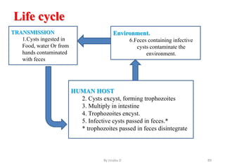 Life cycle
..
By zinabu D 89
TRANSMISSION
1.Cysts ingested in
Food, water Or from
hands contaminated
with feces
Environment.
6.Feces containing infective
cysts contaminate the
environment.
HUMAN HOST
2. Cysts excyst, forming trophozoites
3. Multiply in intestine
4. Trophozoites encyst.
5. Infective cysts passed in feces.*
* trophozoites passed in feces disintegrate
 