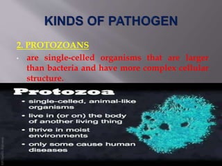 2. PROTOZOANS
• are single-celled organisms that are larger
than bacteria and have more complex cellular
structure.
•
 