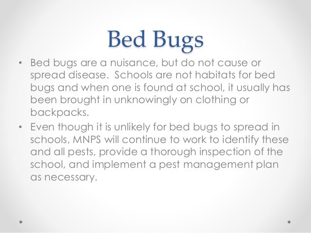 Cdc Bed Bugs In Schools Cdc Bed Bugs In Schools