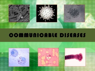 COMMUNICABLE DISEASES 
