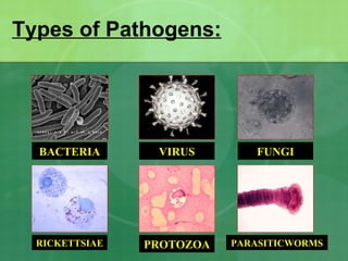 Types of Pathogens: BACTERIA RICKETTSIAE PROTOZOA PARASITICWORMS FUNGI VIRUS 