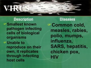 Description Smallest known pathogen infecting cells of biological organisms Unable to reproduce on their own, it replicates through infecting host cells Diseases Common cold, measles, rabies, polio, mumps, influenza, SARS, hepatitis, chicken pox, HIV VIRUS 