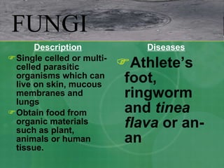 Description Single celled or multi-celled parasitic organisms which can live on skin, mucous membranes and lungs Obtain food from organic materials such as plant, animals or human tissue. Diseases Athlete’s foot, ringworm and  tinea flava  or an-an FUNGI 