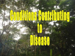 Conditions Contributing to Disease 