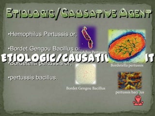 •Hemophilus Pertussis or;

•Bordet Gengou Bacillus or;
                      Hemophilus Pertussis


•Bordetella pertussis or;                        Bordetella pertussis


•pertussis bacillus.
                        Bordet Gengou Bacillus
                                                    pertussis bacillus
 
