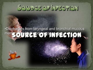 •Discharges from laryngeal and bronchial mucous
membrane of infected persons.
 