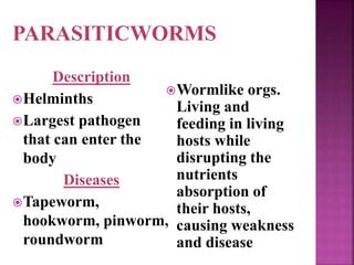 Description
Helminths
Largest pathogen
that can enter the
body
Diseases
Tapeworm,
hookworm, pinworm,
roundworm
Wormlike orgs.
Living and
feeding in living
hosts while
disrupting the
nutrients
absorption of
their hosts,
causing weakness
and disease
PARASITICWORMS
 
