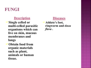 Description
Single celled or
multi-celled parasitic
organisms which can
live on skin, mucous
membranes and
lungs
Obtain food from
organic materials
such as plant,
animals or human
tissue.
Diseases
Athlete’s foot,
ringworm and tinea
flava .
 