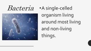 Bacteria •A single-celled
organism living
around most living
and non-living
things.
 
