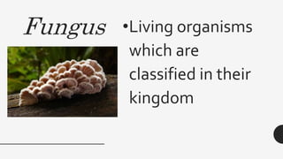 Fungus •Living organisms
which are
classified in their
kingdom
 