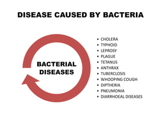 DISEASE CAUSED BY BACTERIA
• CHOLERA
• TYPHOID
• LEPROSY
• PLAGUE
• TETANUS
• ANTHRAX
• TUBERCLOSIS
• WHOOPING COUGH
• DIPTHERIA
• PNEUMONIA
• DIARRHOEAL DISEASES
BACTERIAL
DISEASES
 