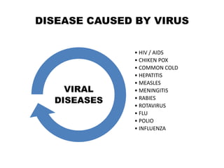 DISEASE CAUSED BY VIRUS
• HIV / AIDS
• CHIKEN POX
• COMMON COLD
• HEPATITIS
• MEASLES
• MENINGITIS
• RABIES
• ROTAVIRUS
• FLU
• POLIO
• INFLUENZA
VIRAL
DISEASES
 