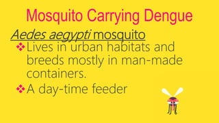 Mosquito Carrying Dengue
Aedes aegypti mosquito
Lives in urban habitats and
breeds mostly in man-made
containers.
A day-time feeder
 