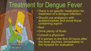 Treatment for Dengue Fever
• There is no specific medication for
treatment of a dengue infection.
• Should use analgesics with
acetaminophen and avoid those
containing aspirin
• Rest
• Drink plenty of fluids
• Consult a physician
• If it worsen in the first 24 hours after
the fever declines, immediately to
the hospital for evaluation
 