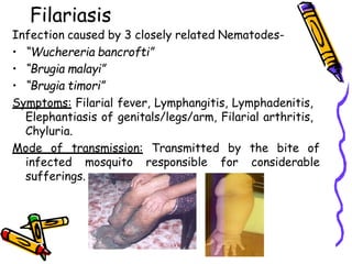 Filariasis
Infection caused by 3 closely related Nematodes-
• “Wuchereria bancrofti”
• “Brugia malayi”
• “Brugia timori”
Symptoms: Filarial fever, Lymphangitis, Lymphadenitis,
Elephantiasis of genitals/legs/arm, Filarial arthritis,
Chyluria.
Mode of transmission: Transmitted by the bite of
infected mosquito responsible for considerable
sufferings.
 