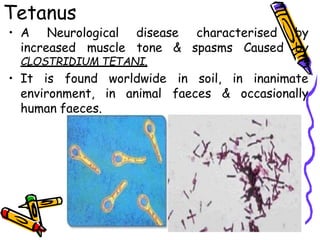 Tetanus
• A Neurological disease
increased muscle tone &
characterised by
spasms Caused by
CLOSTRIDIUM TETANI.
in soil, in inanimate
faeces & occasionally
• It is found worldwide
environment, in animal
human faeces.
 