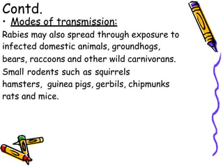 Contd.
• Modes of transmission:
Rabies may also spread through exposure to
infected domestic animals, groundhogs,
bears, raccoons and other wild carnivorans.
Small rodents such as squirrels
hamsters, guinea pigs, gerbils, chipmunks
rats and mice.
 