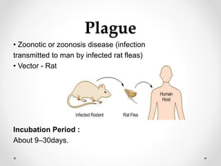 Plague
• Zoonotic or zoonosis disease (infection
transmitted to man by infected rat fleas)
• Vector - Rat
Incubation Period :
About 9–30days.
 