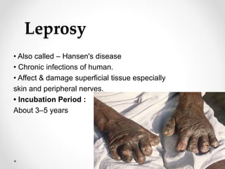 Leprosy
• Also called – Hansen's disease
• Chronic infections of human.
• Affect & damage superficial tissue especially
skin and peripheral nerves.
• Incubation Period :
About 3–5 years
 