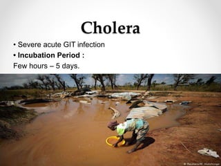 Cholera
• Severe acute GIT infection
• Incubation Period :
Few hours – 5 days.
 