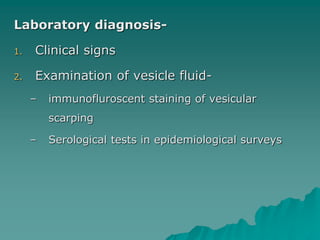 Laboratory diagnosis-
1. Clinical signs
2. Examination of vesicle fluid-
– immunofluroscent staining of vesicular
scarping
– Serological tests in epidemiological surveys
 