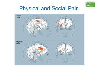 Physical and Social Pain
 