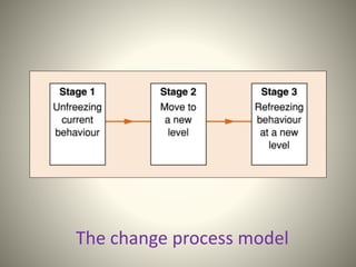 The change process model
 