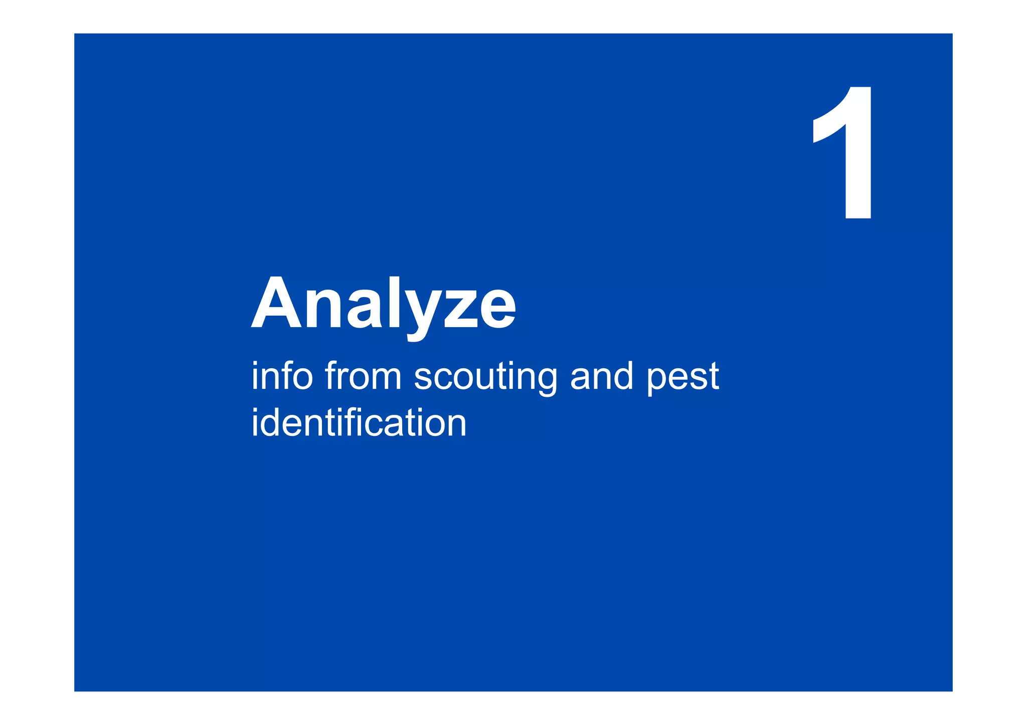 Analyze 
info from scouting and pest 
identification 
1 
 