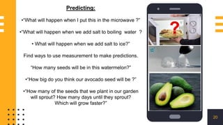 20
Predicting:
•“What will happen when I put this in the microwave ?”
•“What will happen when we add salt to boiling water ?
• What will happen when we add salt to ice?”
Find ways to use measurement to make predictions.
“How many seeds will be in this watermelon?”
•“How big do you think our avocado seed will be ?”
•“How many of the seeds that we plant in our garden
will sprout? How many days until they sprout?
Which will grow faster?”
 