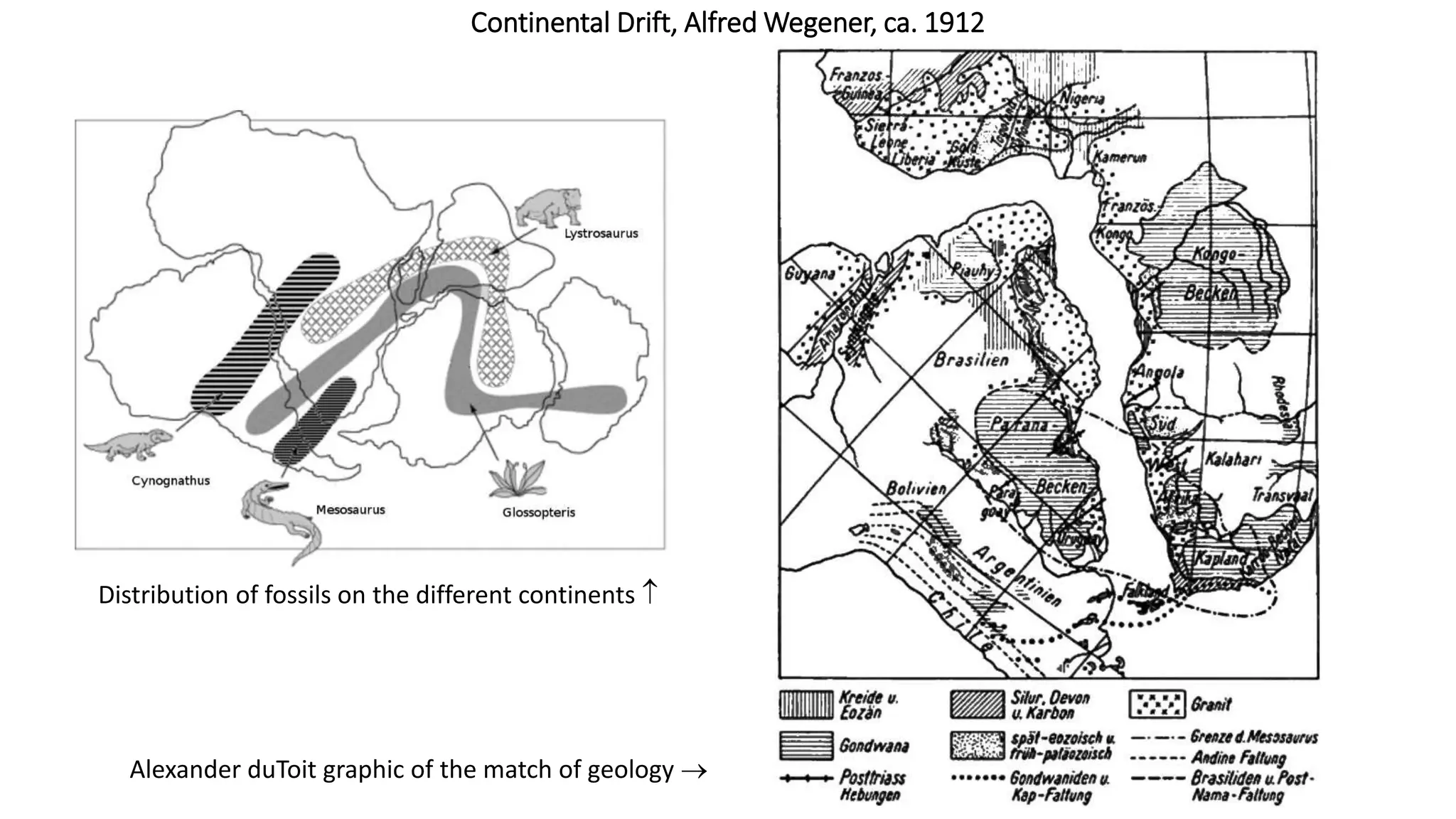 Continental Drift, Alfred Wegener, ca. 1912
Distribution of fossils on the different continents 
Alexander duToit graphic of the match of geology 
 