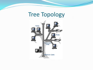 Tree Topology
 
