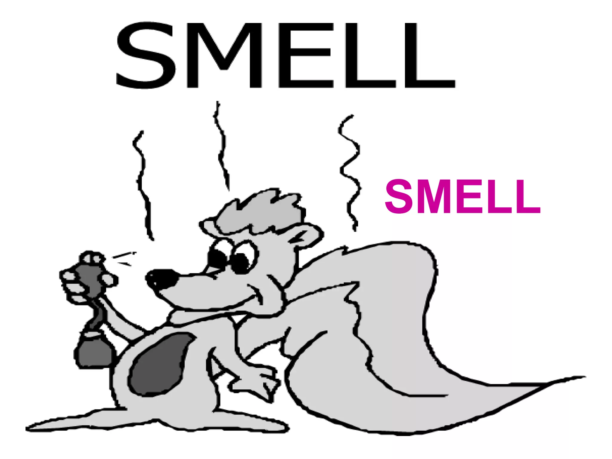 SMELL 