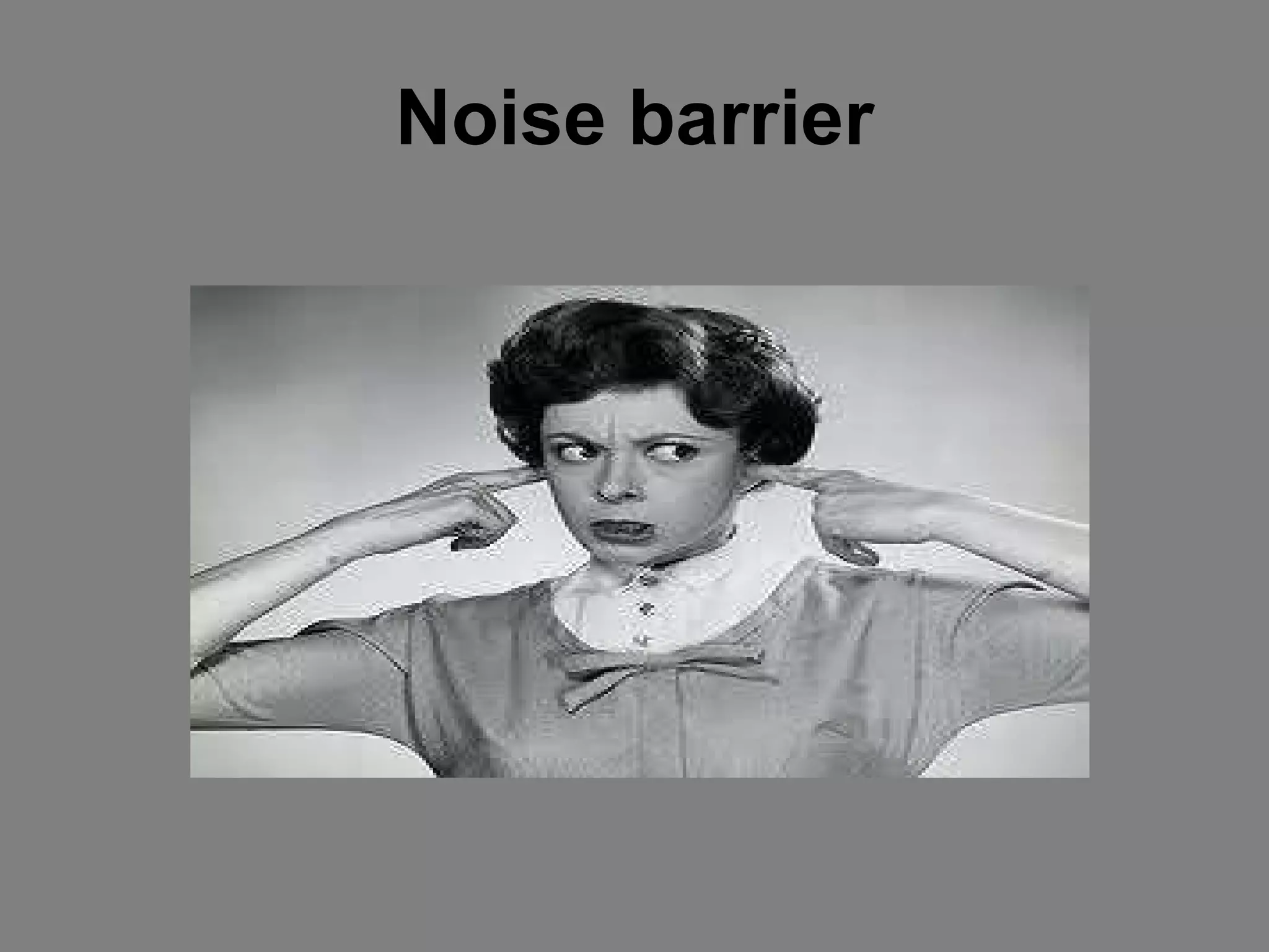 Noise barrier 