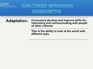 Adaptation:   Consumers develop and improve skills for
              interacting and communicating with people
           ...