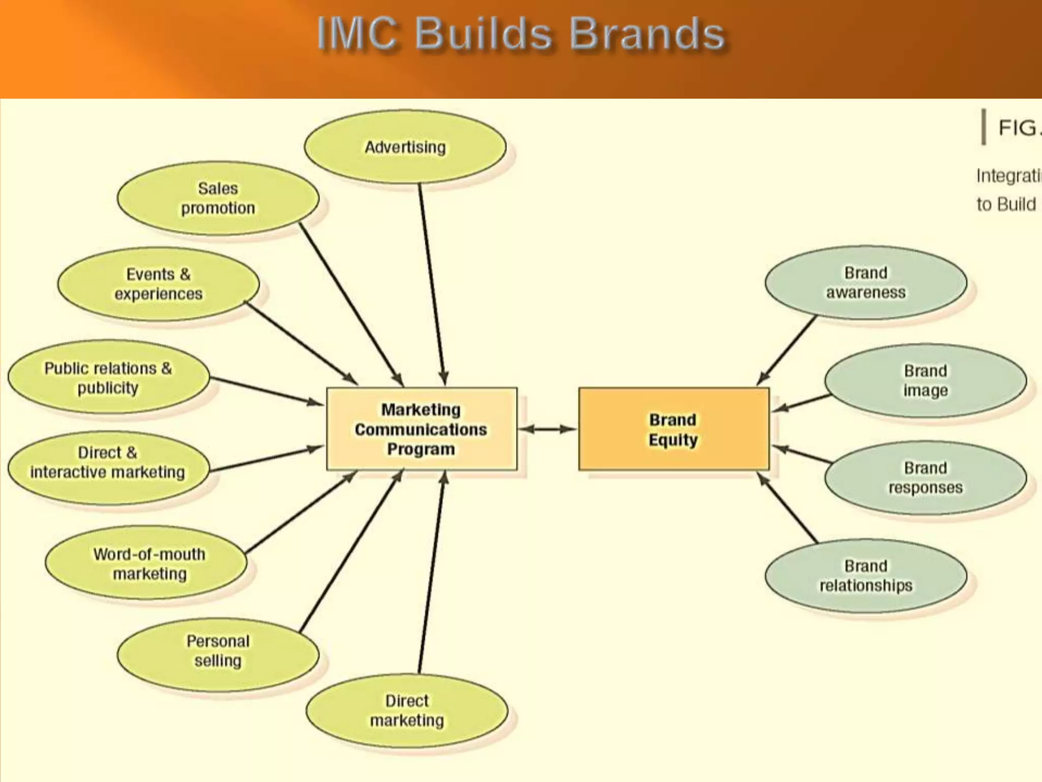 Copyright © 2009 Dorling
Kindersley (India) Pvt. Ltd.
17-4
 