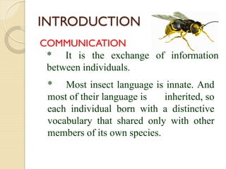 Insects Communication Example Communication | PDF