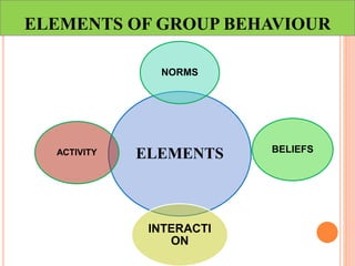 ELEMENTS OF GROUP BEHAVIOUR
ELEMENTS
NORMS
BELIEFS
INTERACTI
ON
ACTIVITY
 