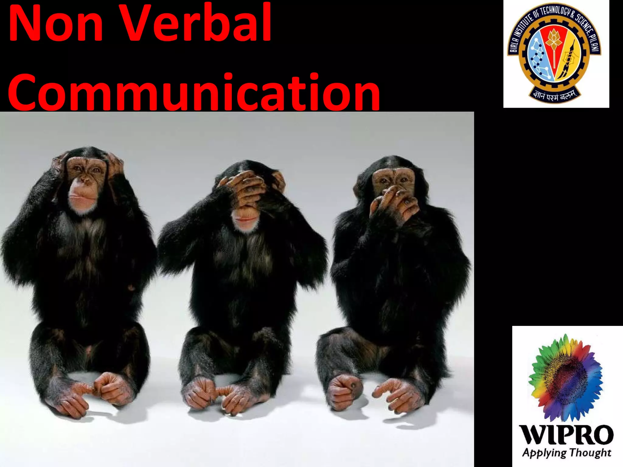 Non Verbal Communication 