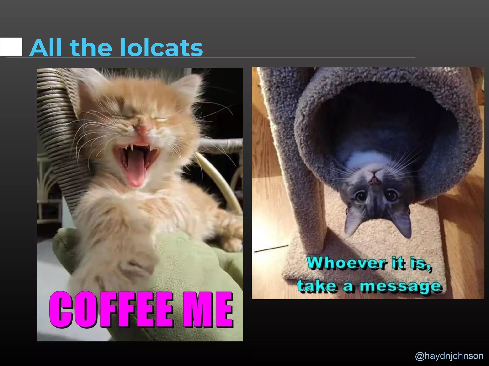 @haydnjohnson
All the lolcats
 