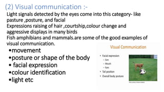 Communicate Using Visual Signals communication 2nd unit.pptx