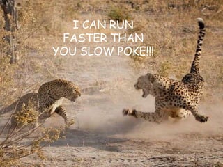 I CAN RUN
FASTER THAN
YOU SLOW POKE!!!
 
