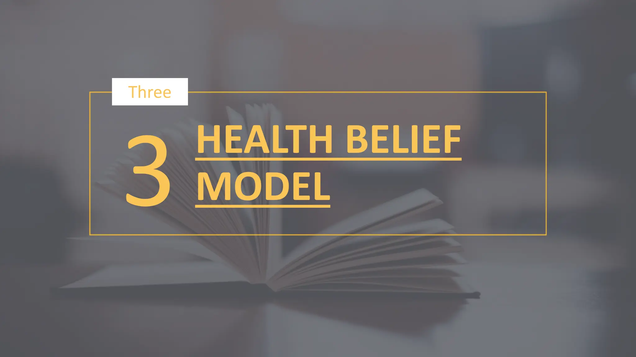 3
Three
HEALTH BELIEF
MODEL
 