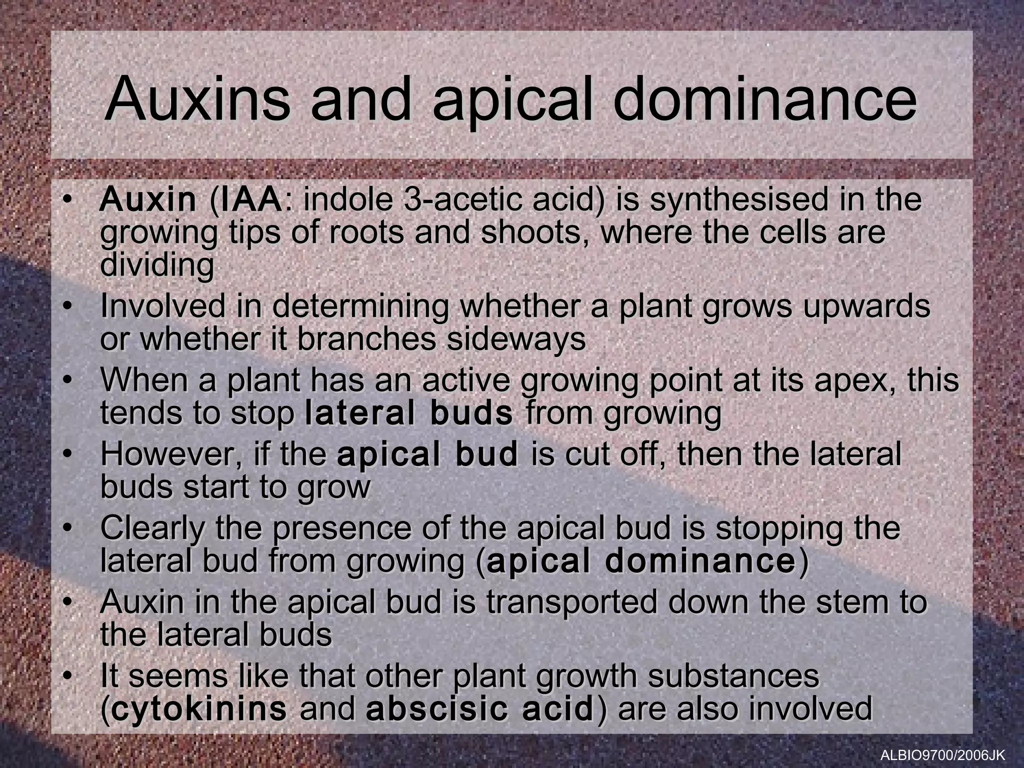 Auxins and apical dominance
• Auxin (IAA : indole 3-acetic acid) is synthesised in the
  growing tips of roots and shoots, where the cells are
  dividing
• Involved in determining whether a plant grows upwards
  or whether it branches sideways
• When a plant has an active growing point at its apex, this
  tends to stop lateral buds from growing
• However, if the apical bud is cut off, then the lateral
  buds start to grow
• Clearly the presence of the apical bud is stopping the
  lateral bud from growing (apical dominance )
• Auxin in the apical bud is transported down the stem to
  the lateral buds
• It seems like that other plant growth substances
  (cytokinins and abscisic acid ) are also involved
                                                      ALBIO9700/2006JK
 