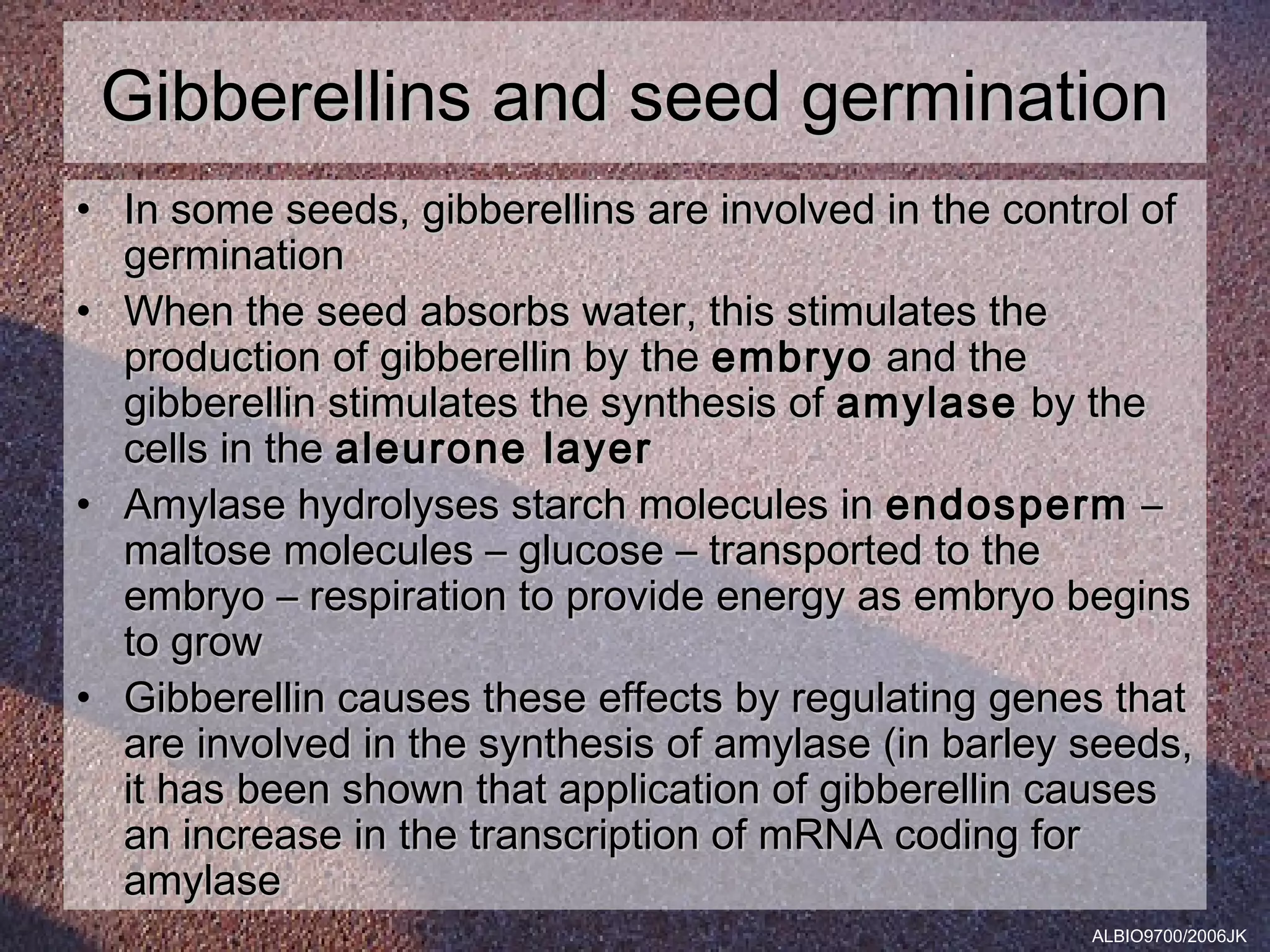 Gibberellins and seed germination
• In some seeds, gibberellins are involved in the control of
  germination
• When the seed absorbs water, this stimulates the
  production of gibberellin by the embryo and the
  gibberellin stimulates the synthesis of amylase by the
  cells in the aleurone layer
• Amylase hydrolyses starch molecules in endosperm –
  maltose molecules – glucose – transported to the
  embryo – respiration to provide energy as embryo begins
  to grow
• Gibberellin causes these effects by regulating genes that
  are involved in the synthesis of amylase (in barley seeds,
  it has been shown that application of gibberellin causes
  an increase in the transcription of mRNA coding for
  amylase
                                                      ALBIO9700/2006JK
 