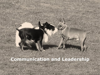 Communication and Leadership 